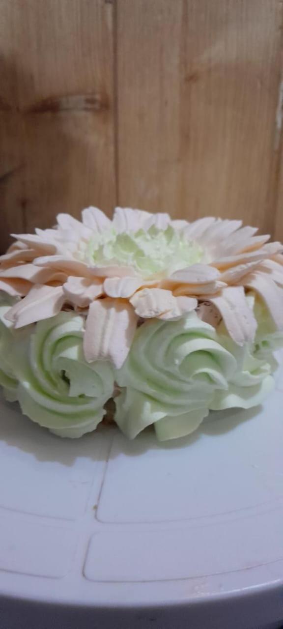 Thakur Homes- Couple And Family Friendly Homestay 심라 외부 사진